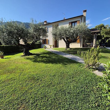 Maryhouse Villa Borso del Grappa Eksteriør billede